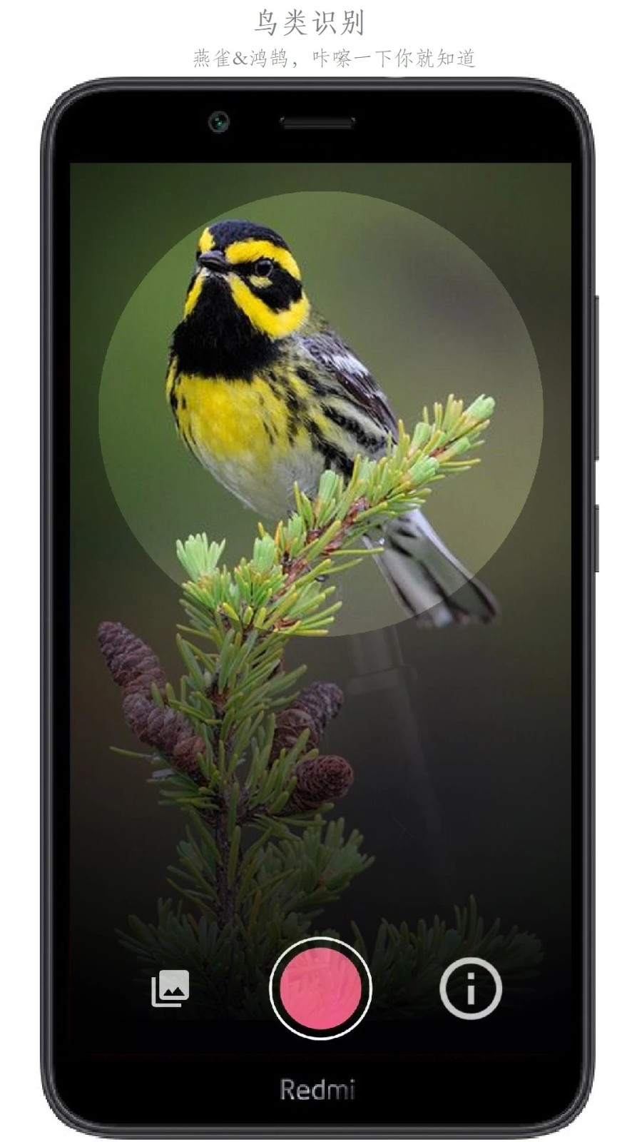 万物识别手机版 v2.1.74.2501120 安卓版