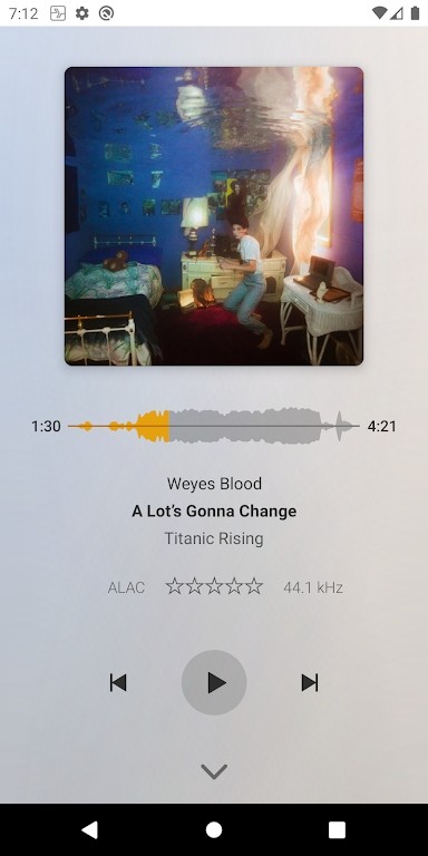 Plexamp(Plex音乐播放器) v4.10.1 安卓版