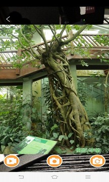 FindAR下载app v2.106.226