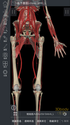 3DBody解剖app v8.8.41
