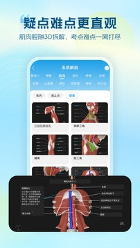 维萨里3D解剖下载app v6.9.5