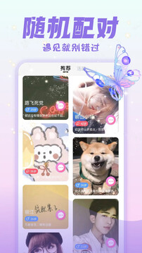 寻欢下载app v1.0.5