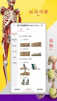 3DBody解剖 8.0版app v8.8.41