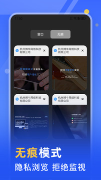 秘密浏览器下载app v3.1.6