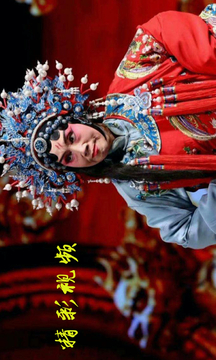 豫剧迷下载app v1.5.4