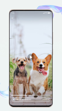 剧好看下载app v1.0.0