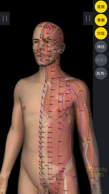 3DBody解剖app v8.8.41