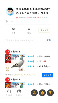 信鸽天堂下载app v0.1.97