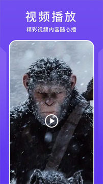 紫电视频下载app v1.11