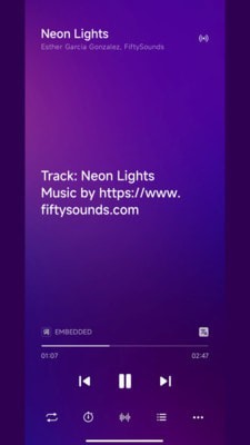 糖醋音乐(现改名椒盐音乐) v10.2.9-play 安卓版