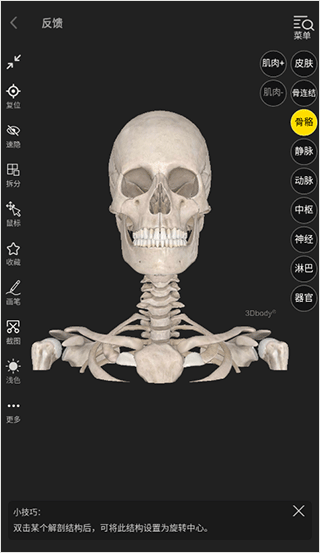 3DBody解剖 中文版app v8.8.41