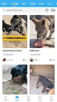猛犬俱乐部下载app v6.4.1