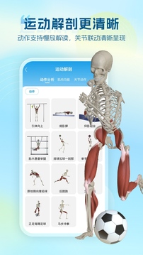 维萨里3D解剖下载app v6.9.5