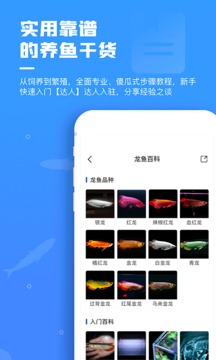 鲲天下下载app v2.5.0