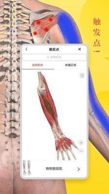 3DBody解剖 免费版app v8.8.41