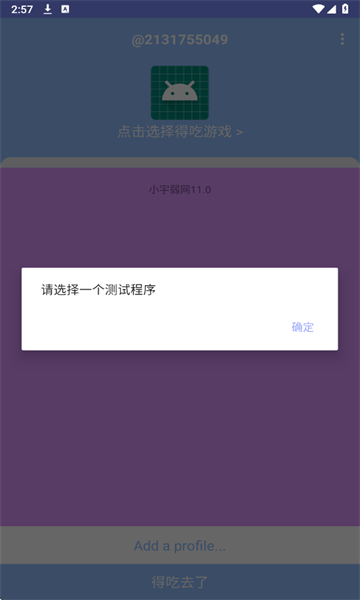 小宇弱网 11.0配置参数app v11.0