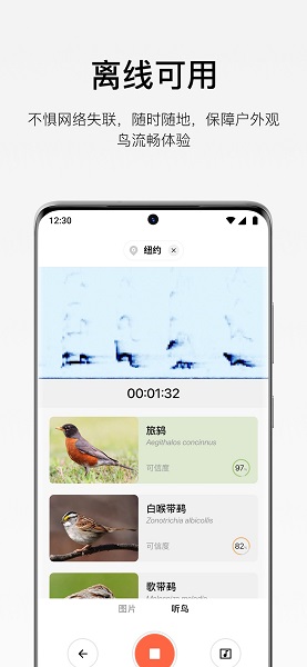 懂鸟app v1.3.3