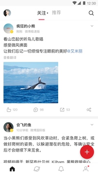 微博轻享版下载app v6.8.5
