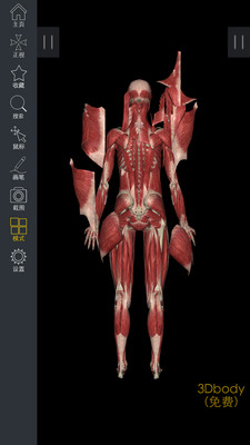 3DBody解剖app v8.8.41
