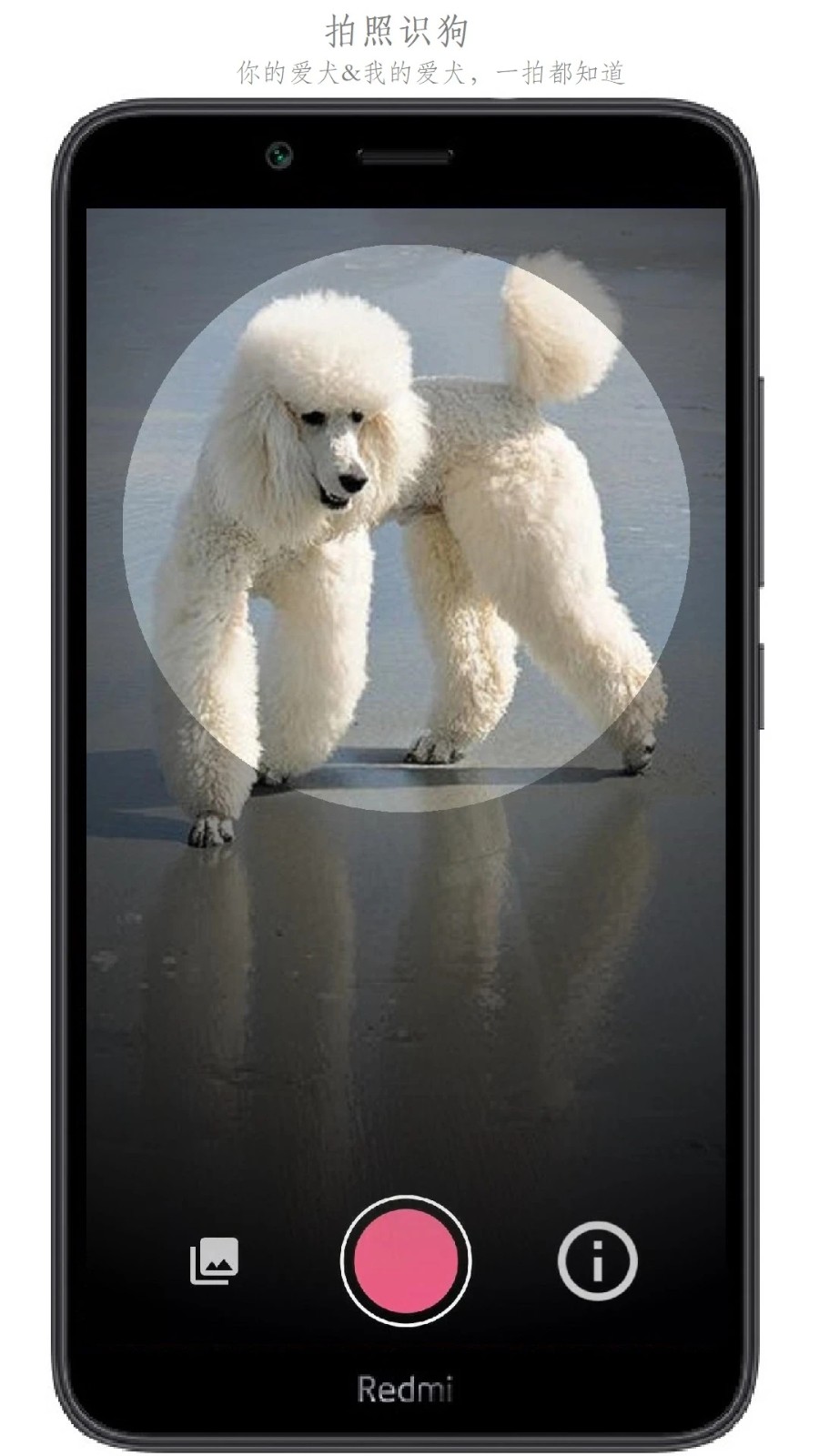 万物识别手机版 v2.1.74.2501120 安卓版