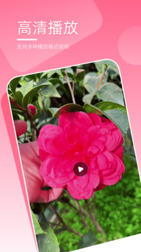 万能播放器下载app v1.9