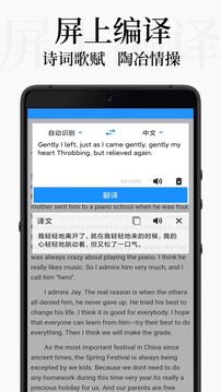 DB翻译下载app vv2.0.4