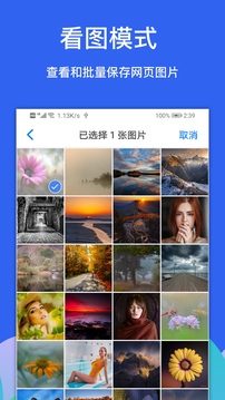 Alook浏览器下载app v11.0