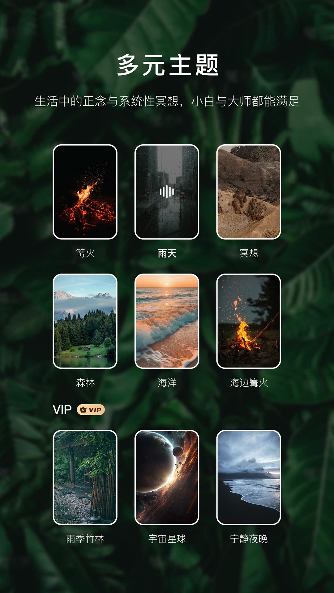 流静app v3.1.17