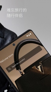 LouisVuitton v6.54.0
