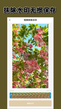 去水印大师下载app v3.0.0
