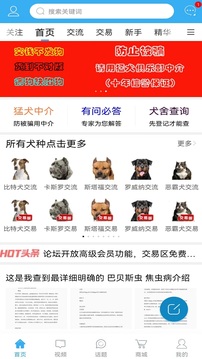 猛犬俱乐部下载app v6.4.1