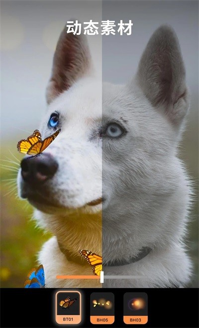 小狐狸剪辑APP安卓版 v1.6.1 安卓版