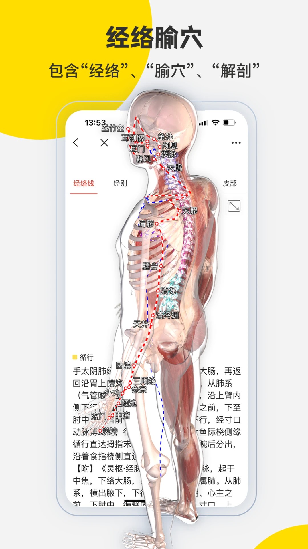 3Dbody解剖 解锁vip版app v8.8.72