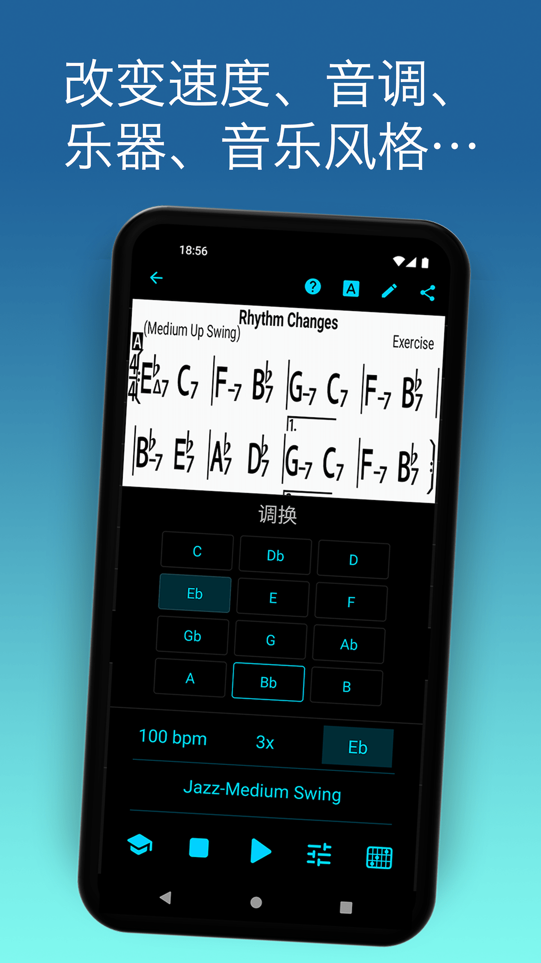 iReal Pro(音乐创作应用) v2025.7-china 官方安卓版