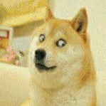 超自然尘埃app v3.0