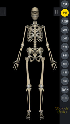 3DBody解剖app v8.8.41