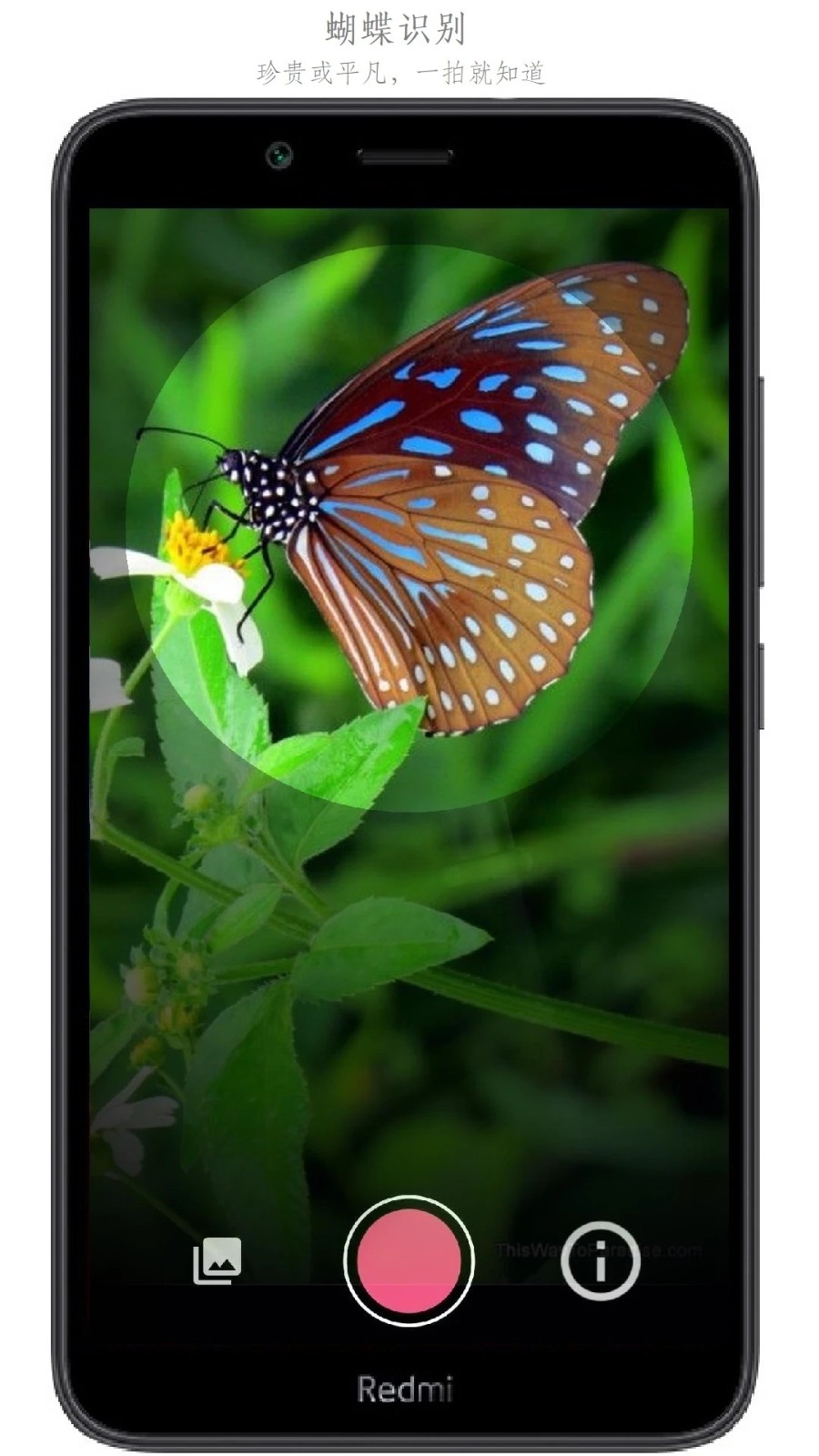 万物识别手机版 v2.1.74.2501120 安卓版