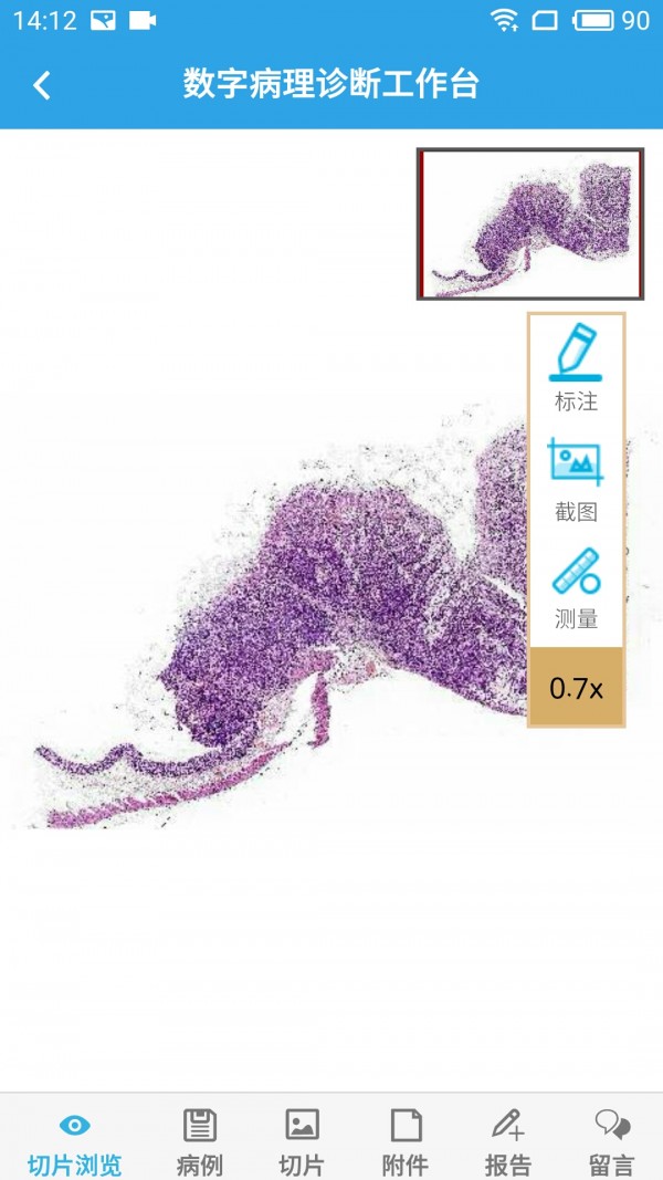 病理通app v1.0.1