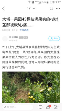 大埔网下载app v4.2.10