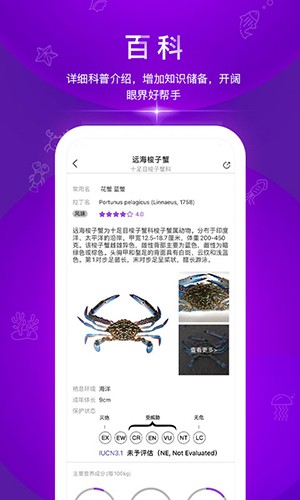 问鱼 v3.0.0 安卓版