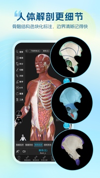 维萨里3D解剖下载app v6.9.5